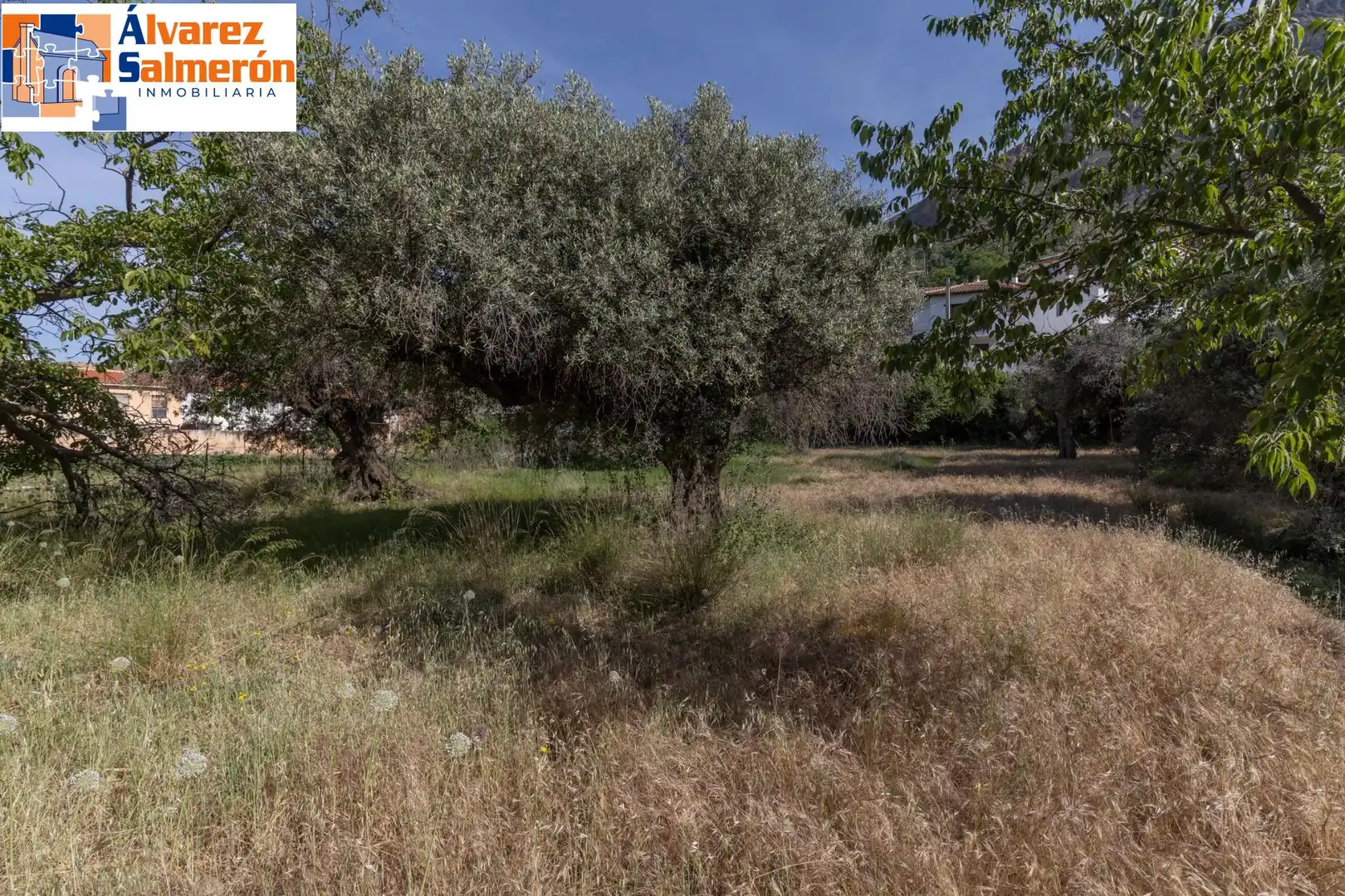 Lands and plots for sale in Carretera de Maitena, imagen 18