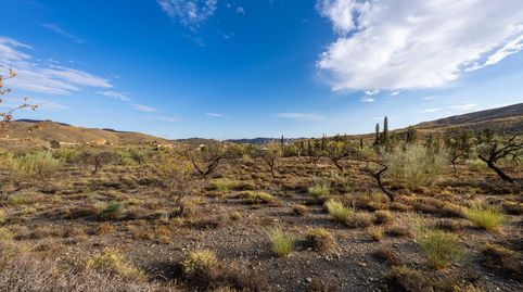 Foto 4 von Grundstücke zum Verkauf in de Velefique a Senés, Senés, Almería