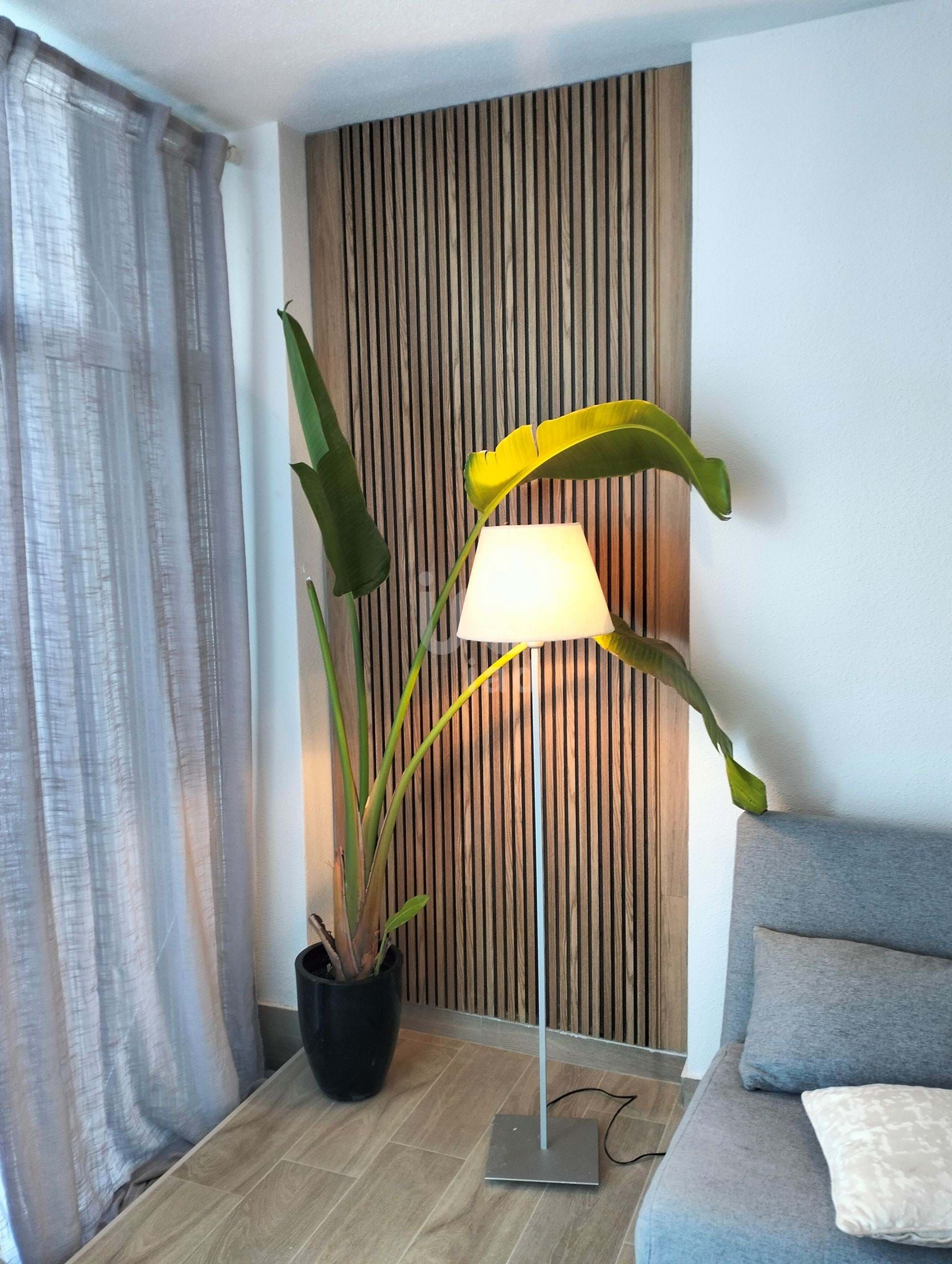 Vista exterior de Piso en venta en Torrevieja con Aire acondicionado, Terraza y Piscina