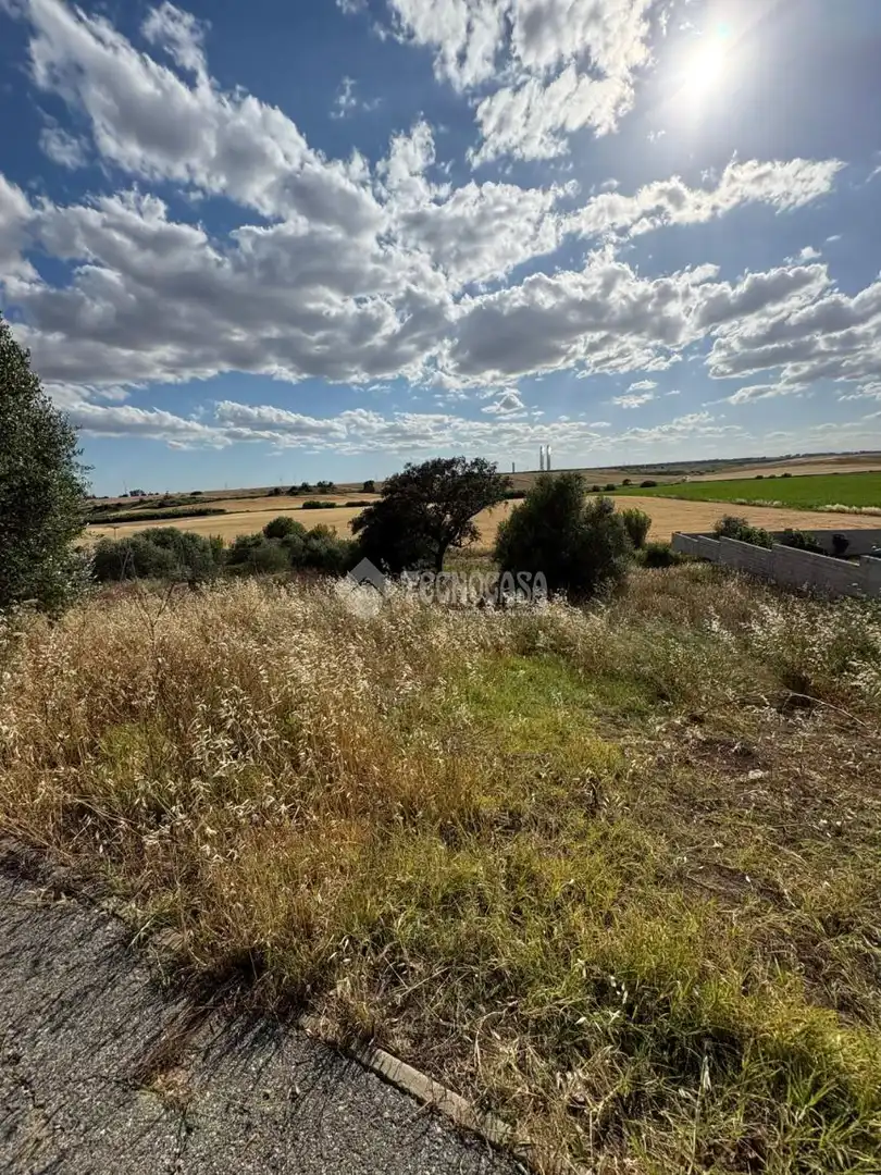 Terreny residencial en venda a Sanlúcar la Mayor, imagen 25