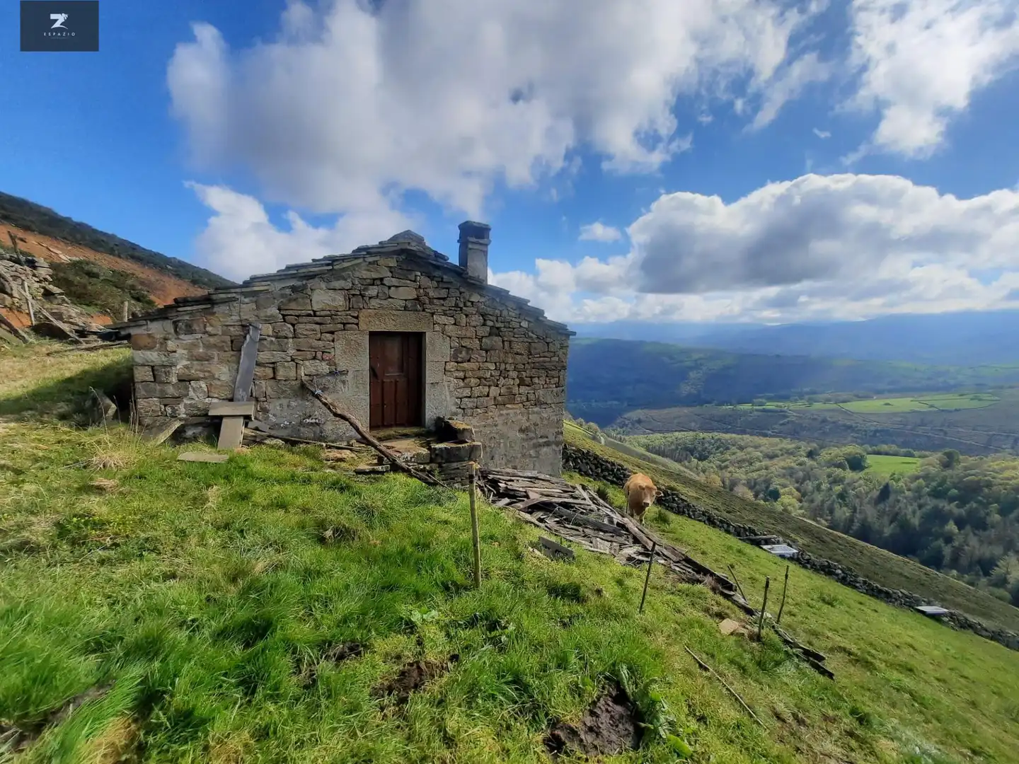 Vista exterior de Casa o xalet en venda en San Pedro del Romeral amb Jardí privat