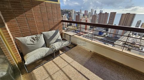 Photo 5 of Study for sale in Juan Fuster Zaragoza, Rincón Bajo, Benidorm