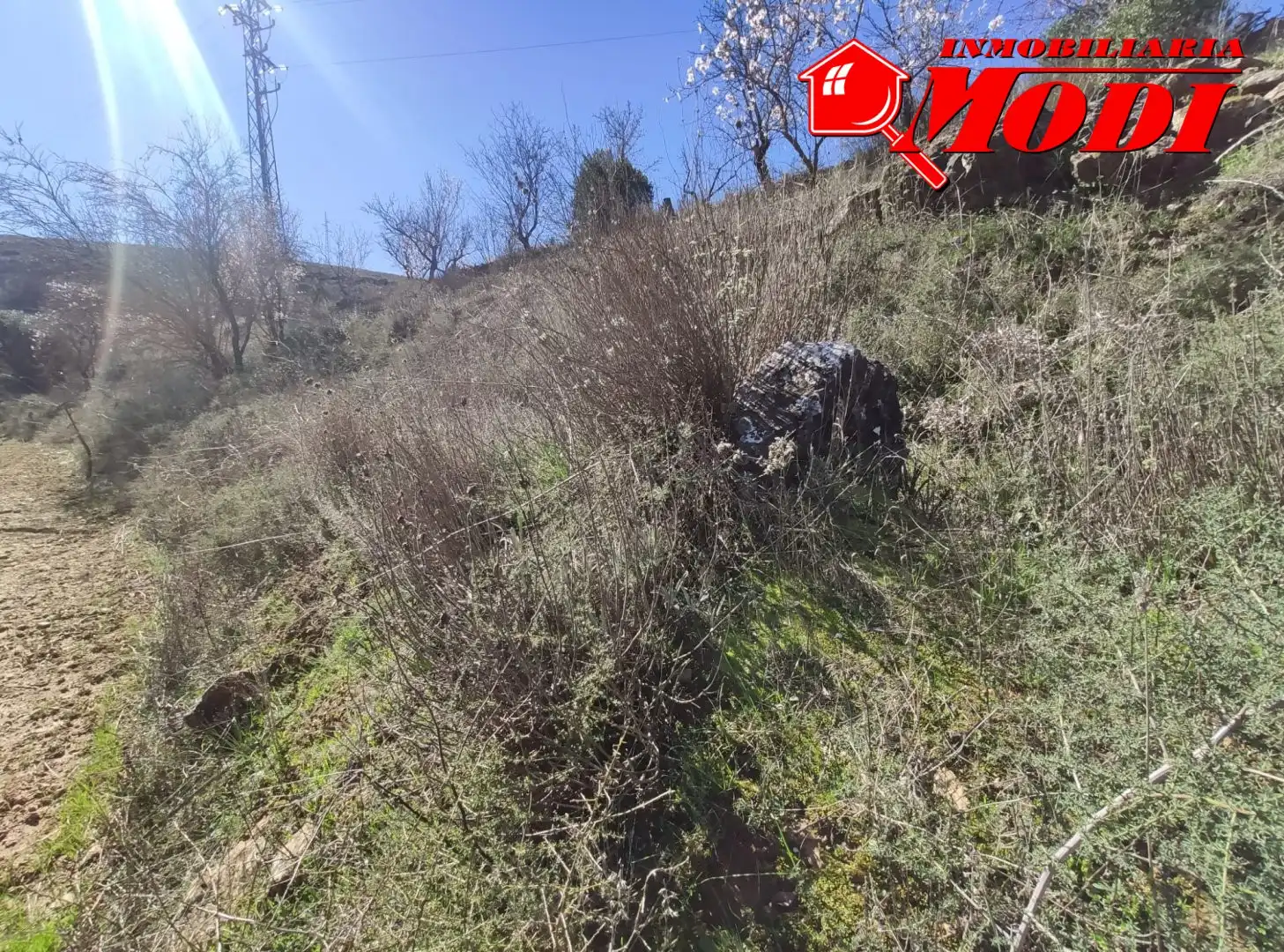Terrenys i solars en venda a Villamena, imagen 20