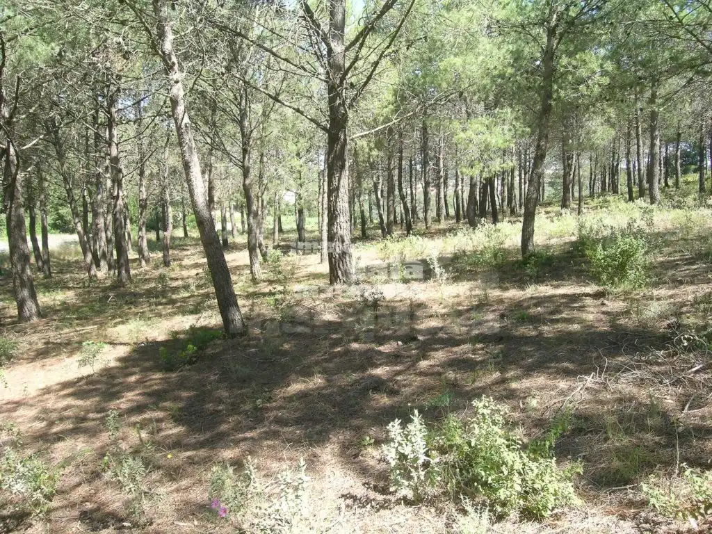 Terreny rústic en venda a Fornells - Aiguablava, imagen 2