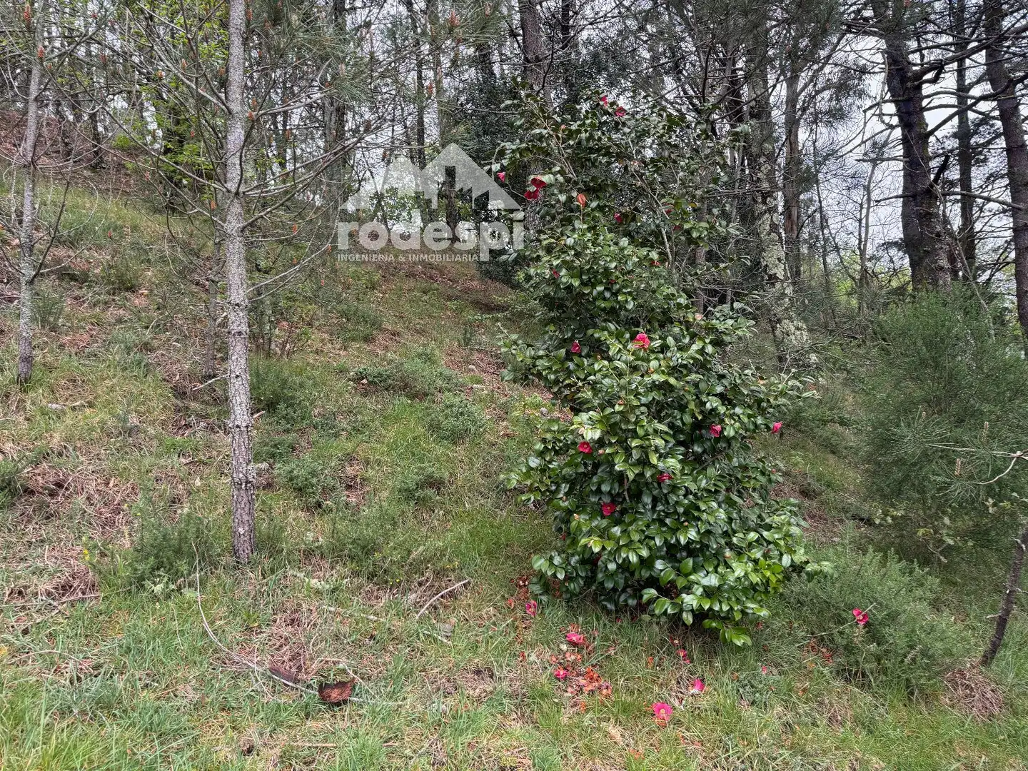 Xalet en venda a Covelo, imagen 76