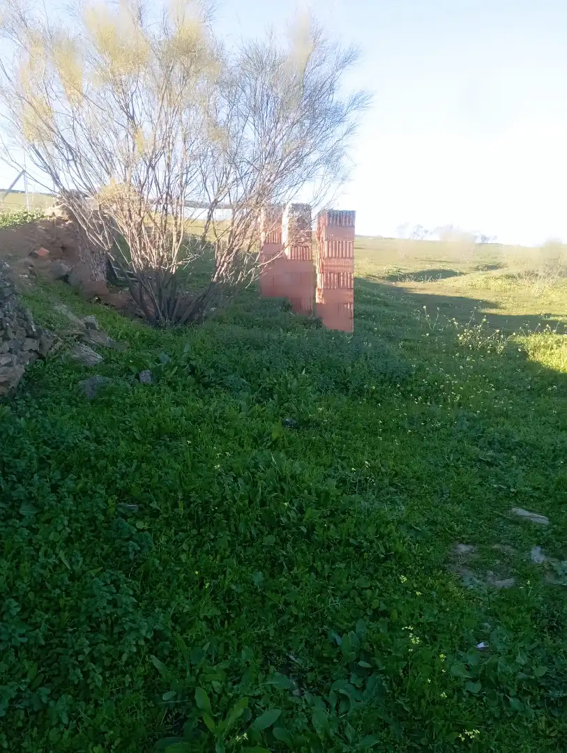 Terreno en venta en Puebla del Maestre