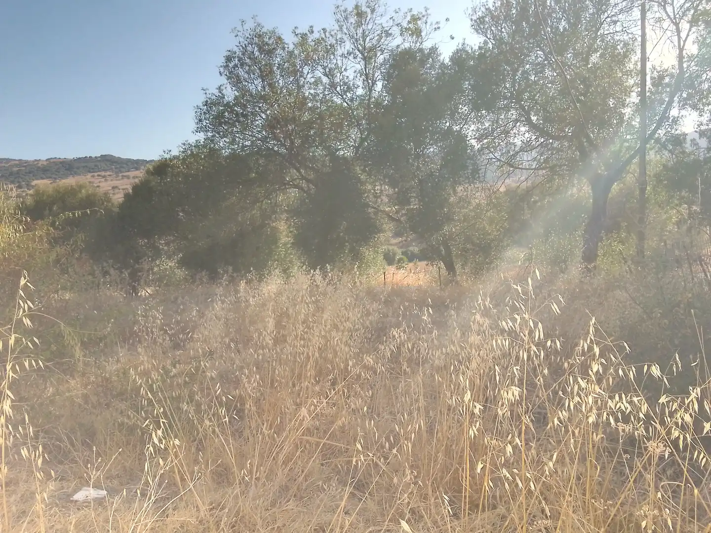 Terreni e lotti in vendita a Ubrique, imagen 4