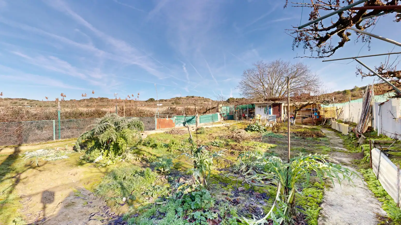 Rural land for sale in Tafalla - TERMINO JUNCAL, imagen 37