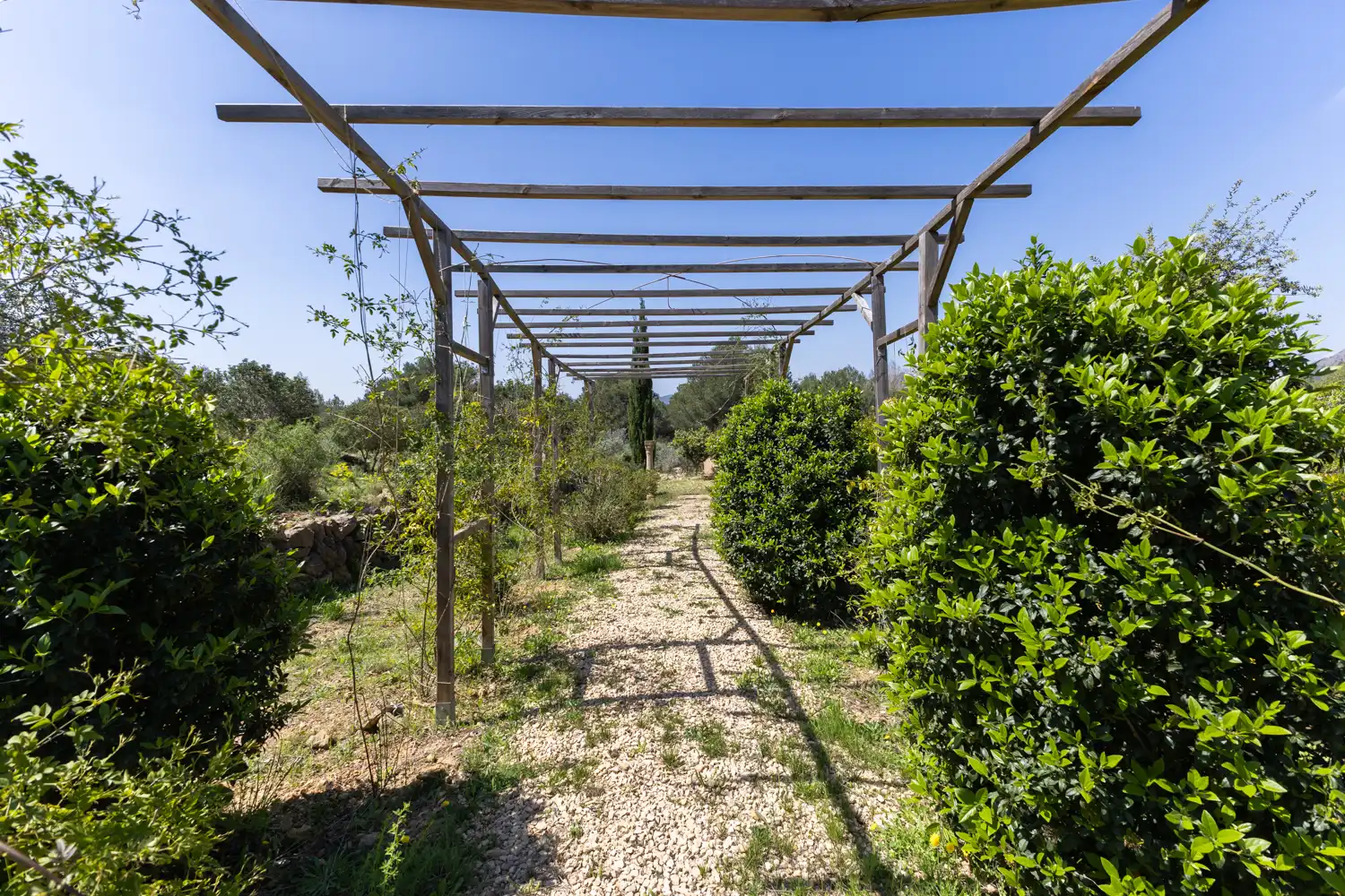 Casa con terrazza in vendita a Jesús Pobre, imagen 87