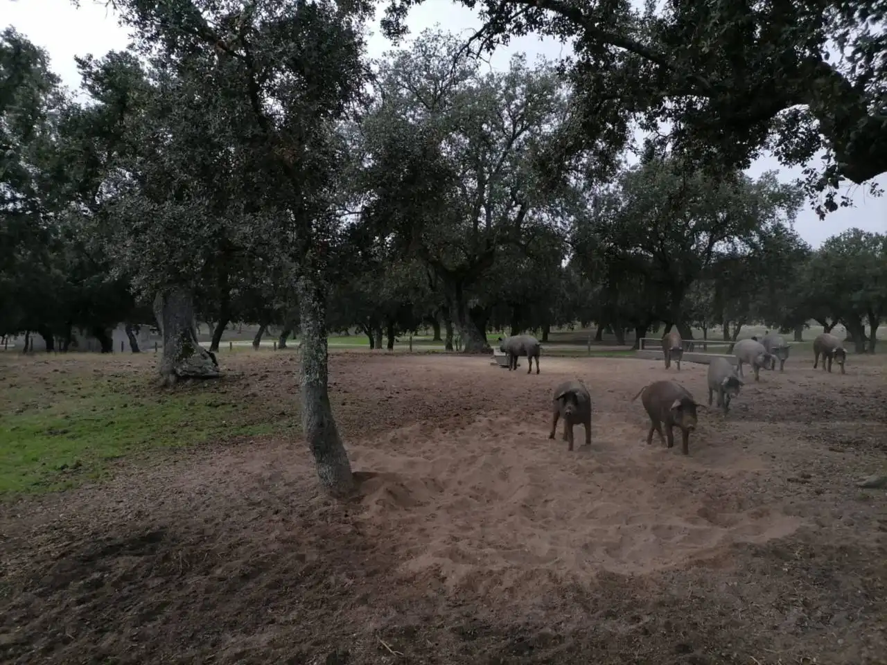 Terreno en venta en Poligono 1, La Alameda de Gardón