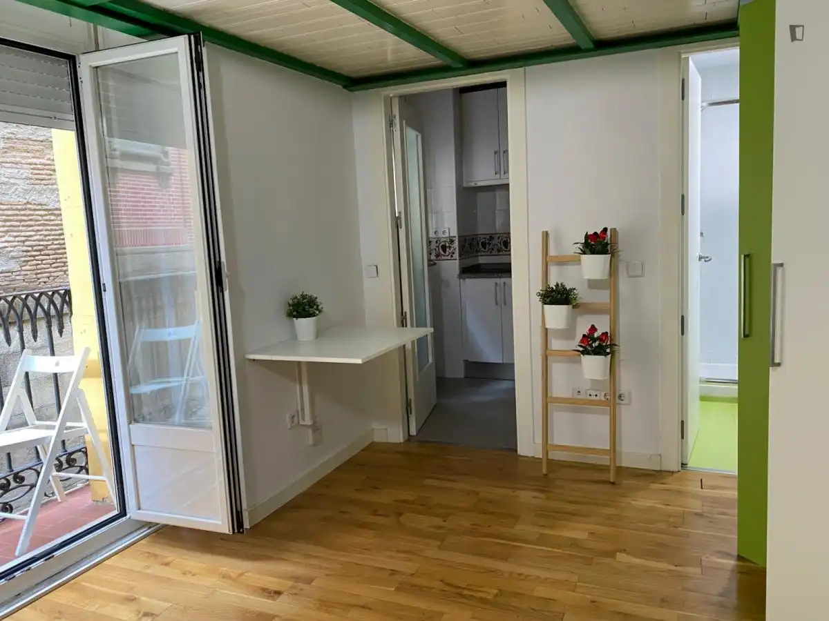 Estudio en alquiler en Centro, imagen 13