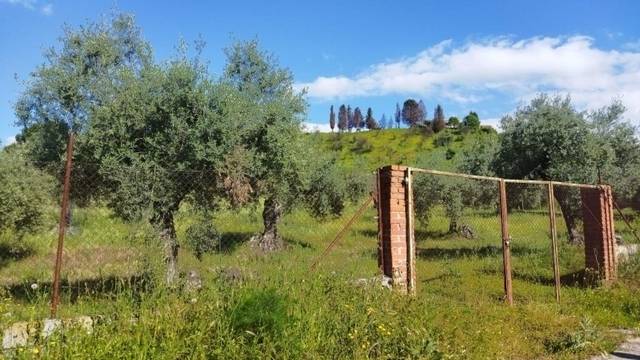 Terreno en Venta en Las Herencias