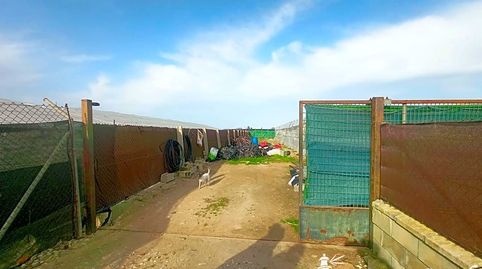 Foto 4 de Finca rústica en venta en La Jara, Sanlúcar de Barrameda