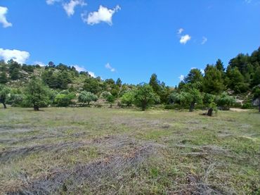 Terreno rustico in vendita a Valderrobres