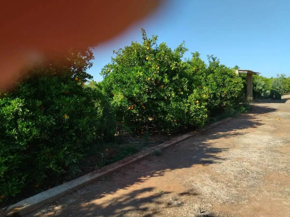 Terreno residencial en venta en Onda