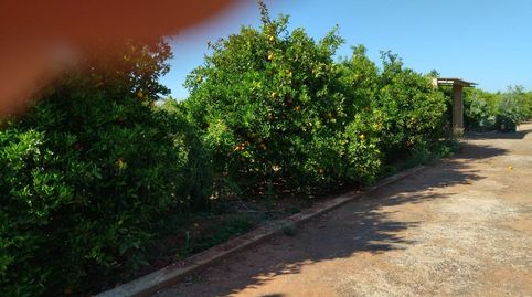 Terreno Rústico en venta en Onda.