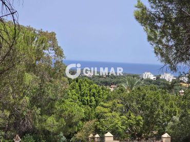 Terreno residenziale in vendita a Sotogrande Alto
