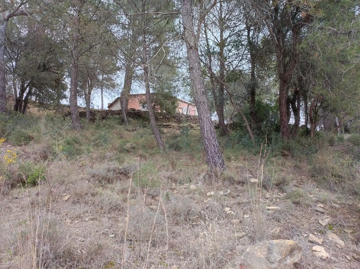 Terreno residencial en venta en Canet d'Adri, imagen 6