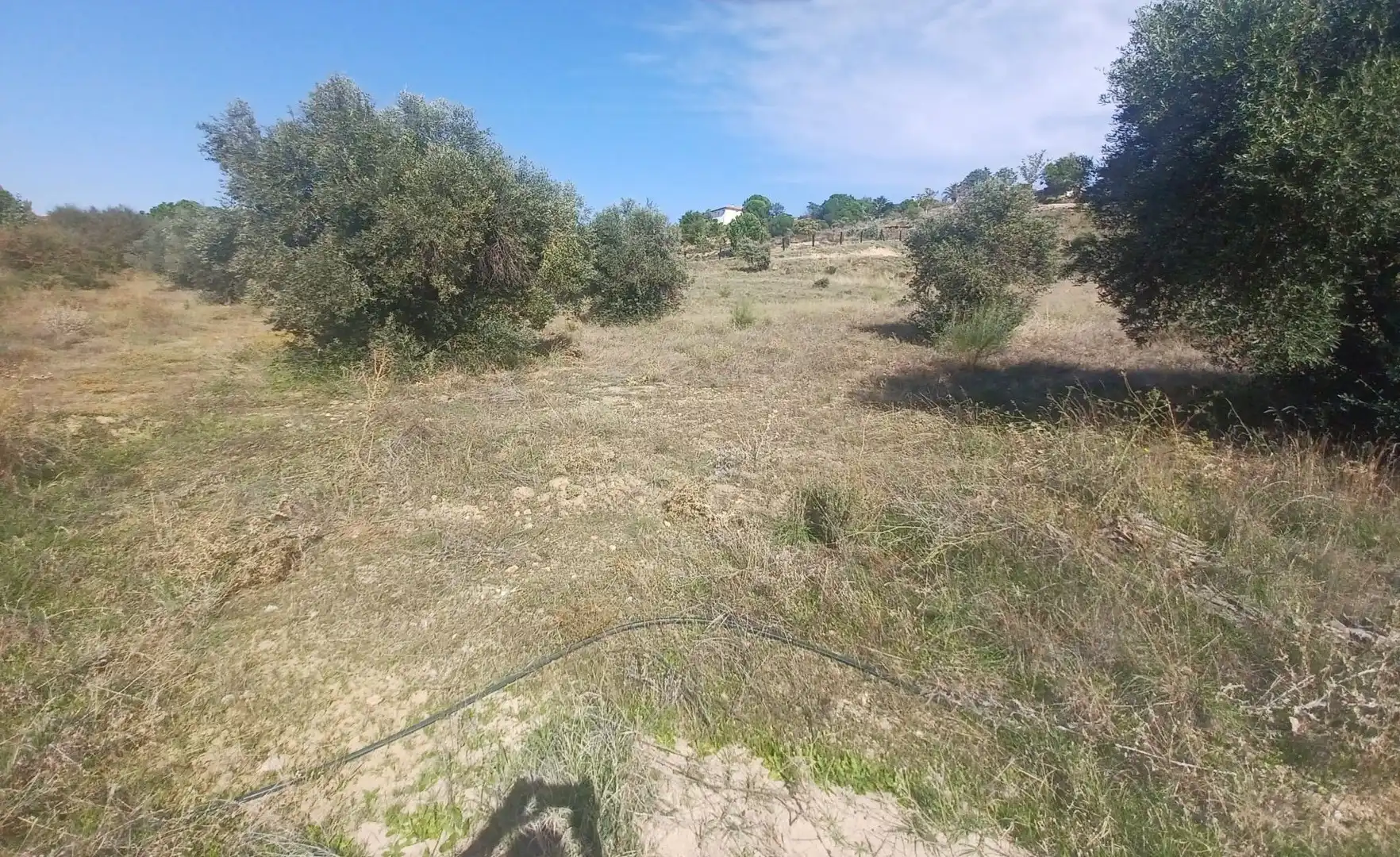 Terrain rustique à vendre à Arroyo Chico 2A, imagen 9