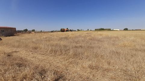 finca en villaralbo, imatge 5