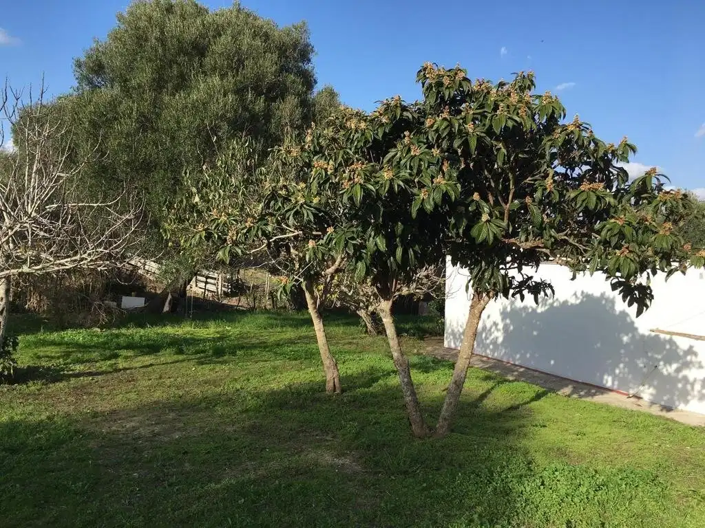 Casa o xalet en venda a La Muela