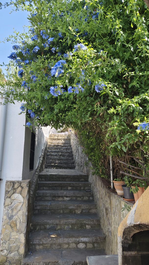 Exterior view of House or chalet for sale in Cervelló  with Air Conditioner, Heating and Private garden