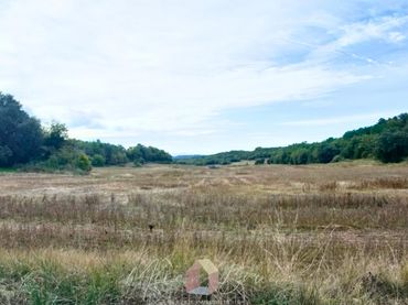 Terrenys i solars en venda a de Pinós