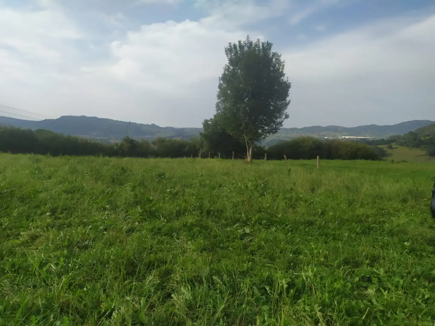 Terreni e lotti in vendita a Lloreda - LLOREDA