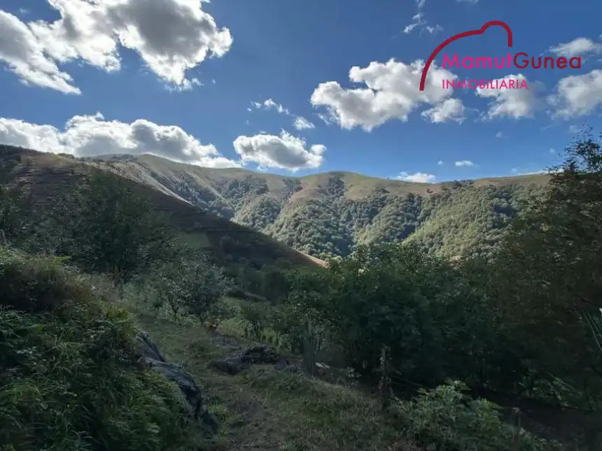 Vista exterior de Finca rústica en venta en Goizueta