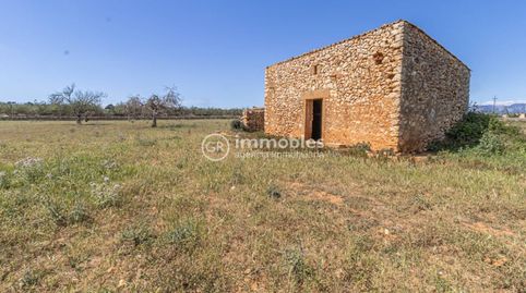 Terreno  rústico edificable en Sineu, immagine 3
