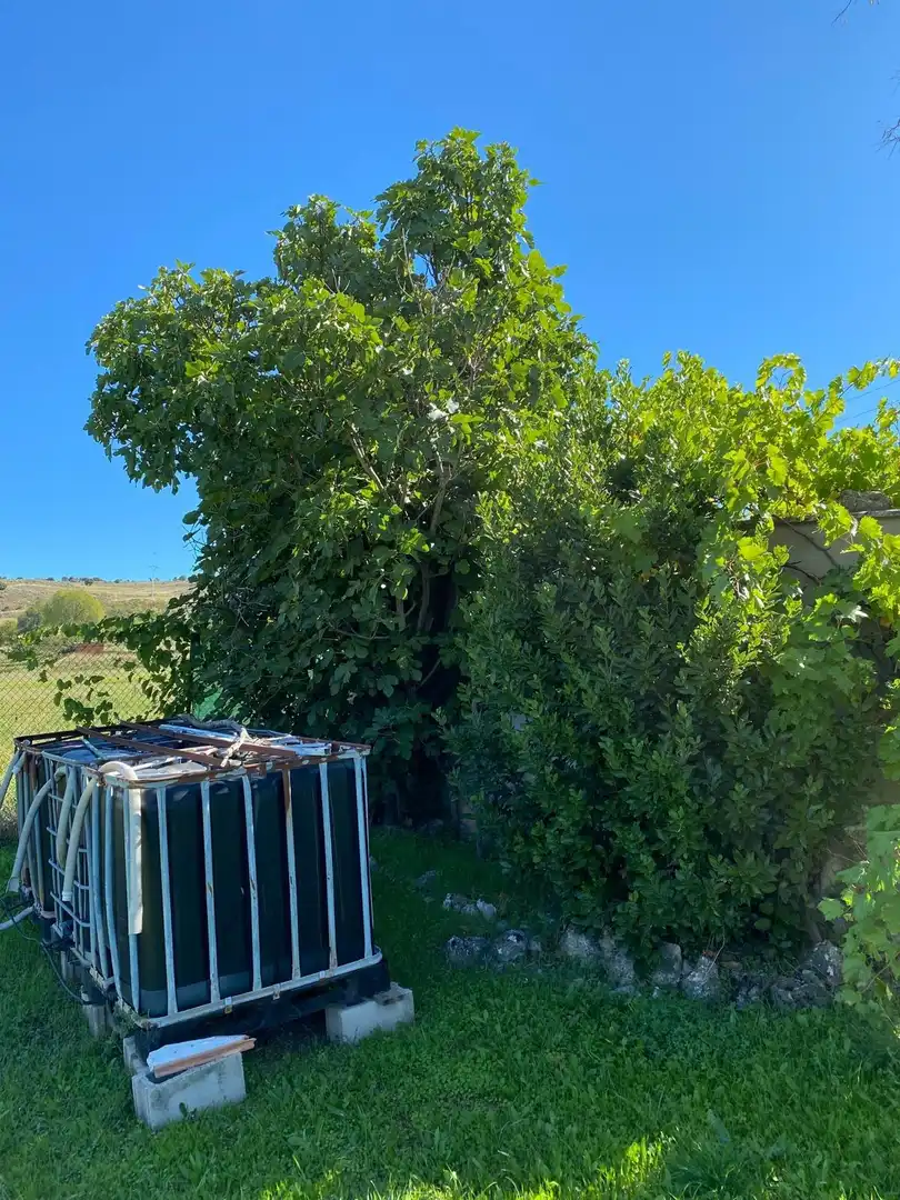 Jardín de Terreno en venta en Escopete