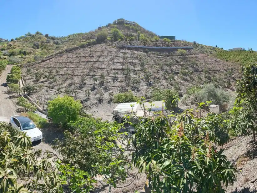 Land for sale in Vélez-Málaga