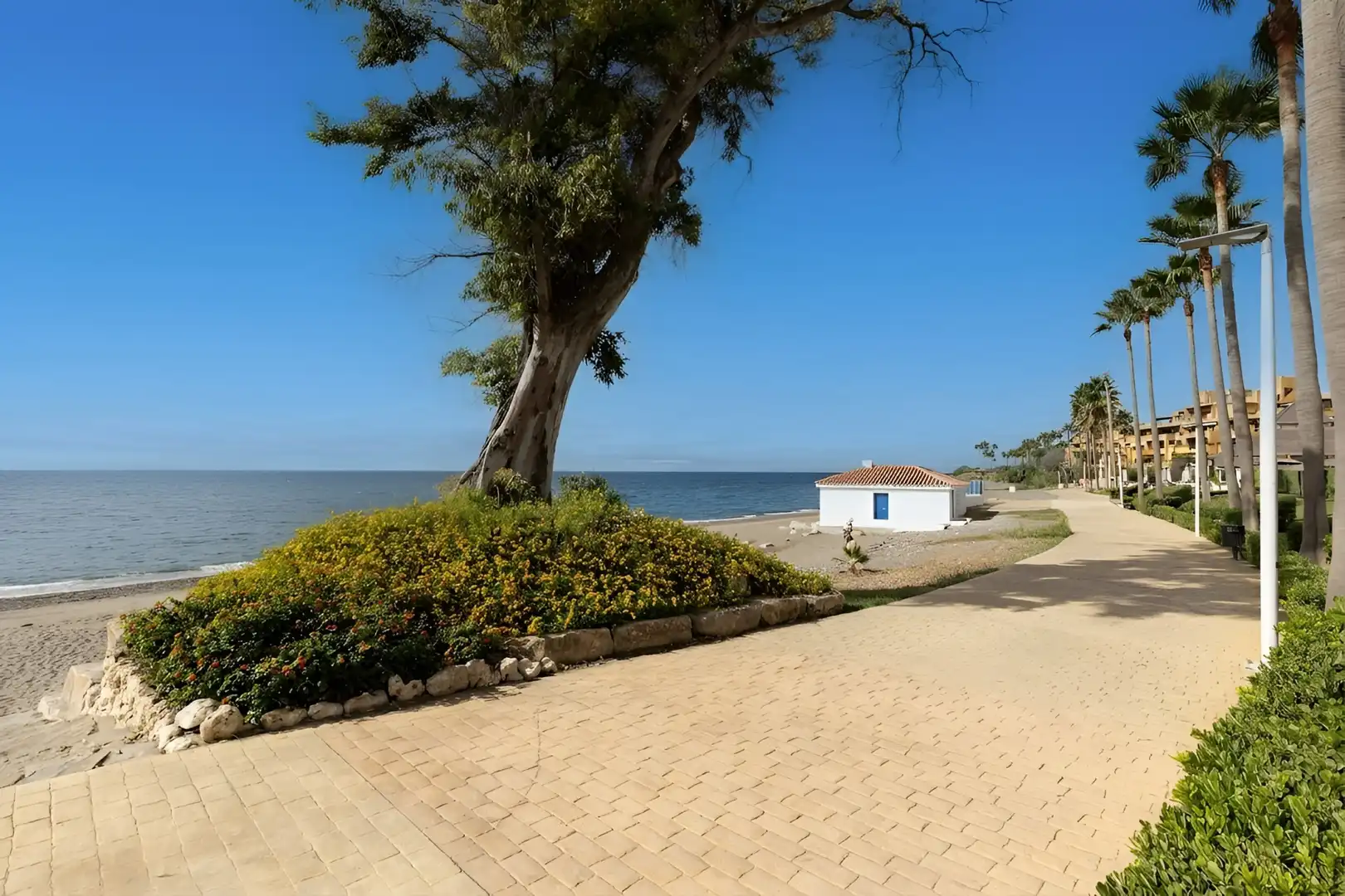 Attico con piscina in vendita a Benamara - Atalaya, imagen 55