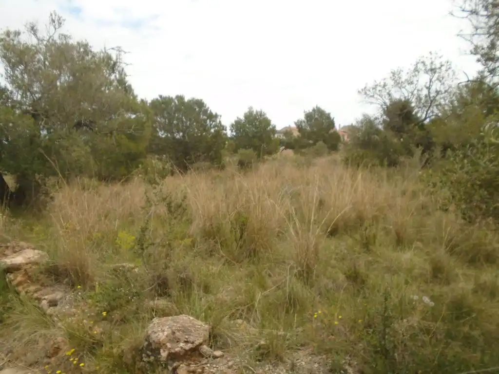 Rustikales Grundstück zum Verkauf in Paraje del Moro, imagen 21