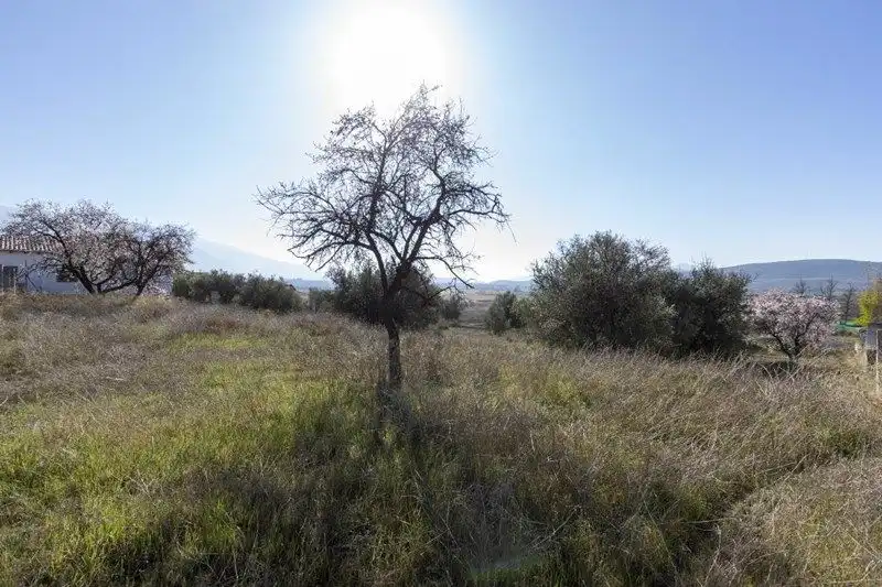 Terreni e lotti in vendita a Avenida de Andalucía