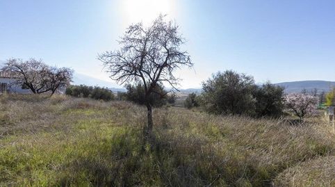 SOLAR EN PADUL
