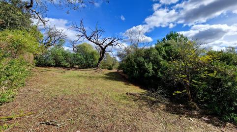 Photo 4 of Residential for sale in Calle Calle Ginés, 24, Los Lagos, Guillena