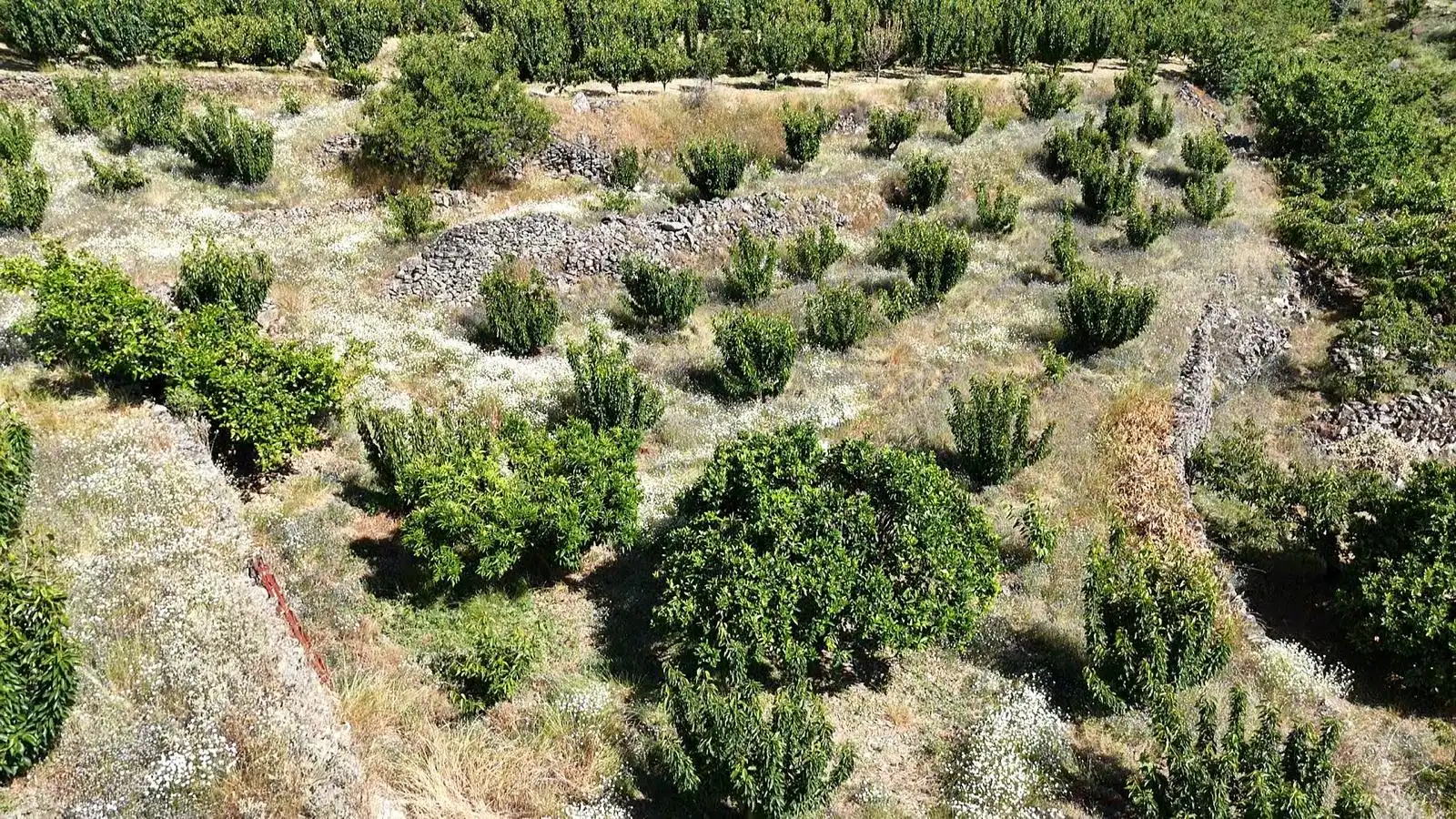 Terreni e lotti in vendita a Urbanizacion el Pajarejo, imagen 18