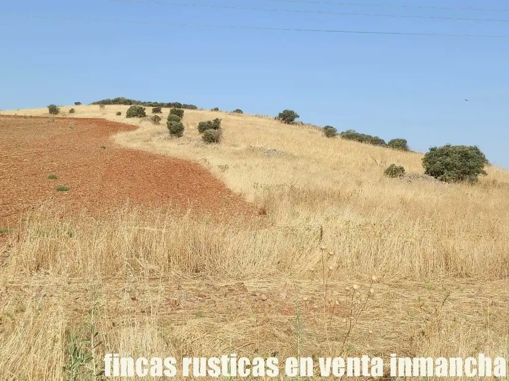 Terrenys i solars en venda a Almagro, imagen 11