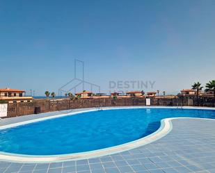 Swimming pool of Apartment for sale in La Oliva  with Terrace and Swimming Pool