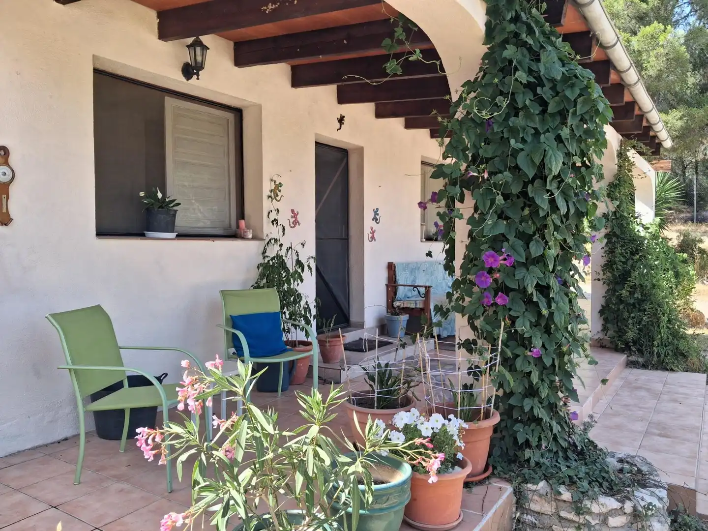 Terrassa de Finca rústica en venda en Móra d'Ebre