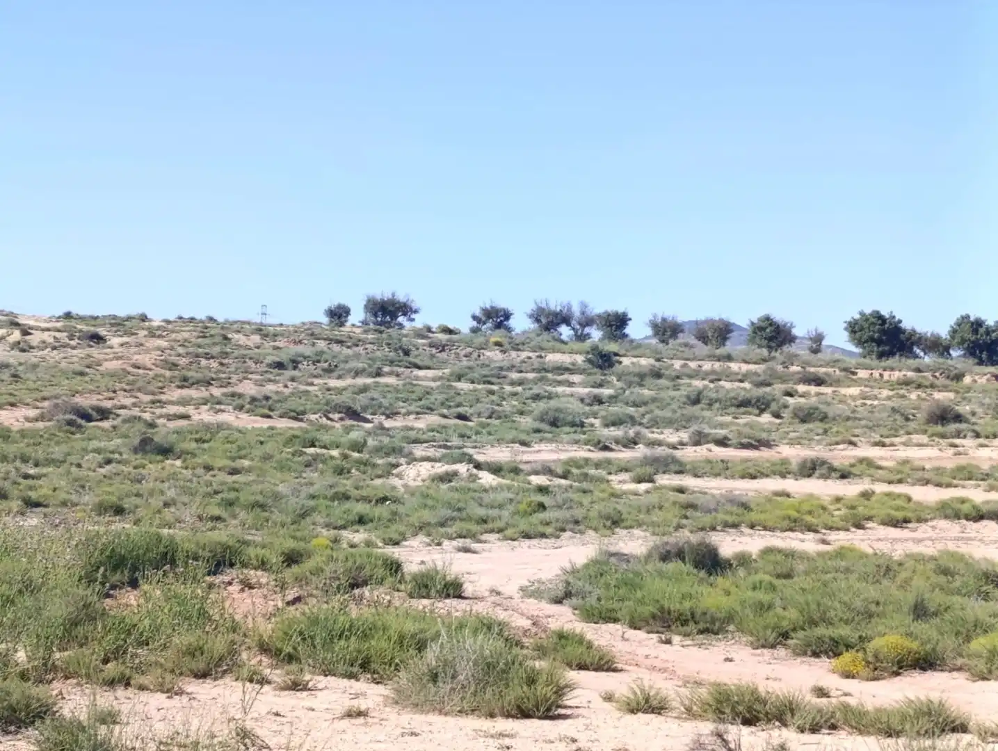 Rural land for sale in Partida Los Cabezos, imagen 2