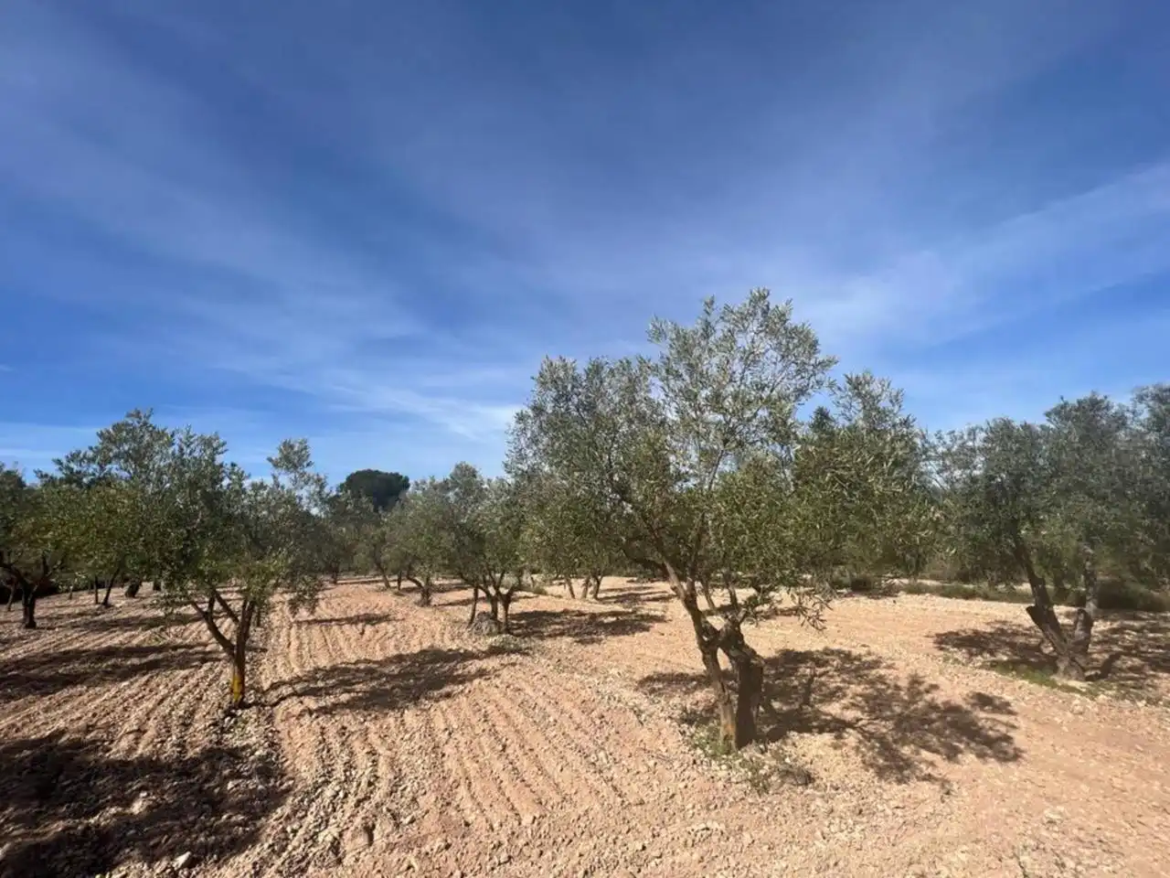Chalet con jardín en venta en Calle Poligono, imagen 65