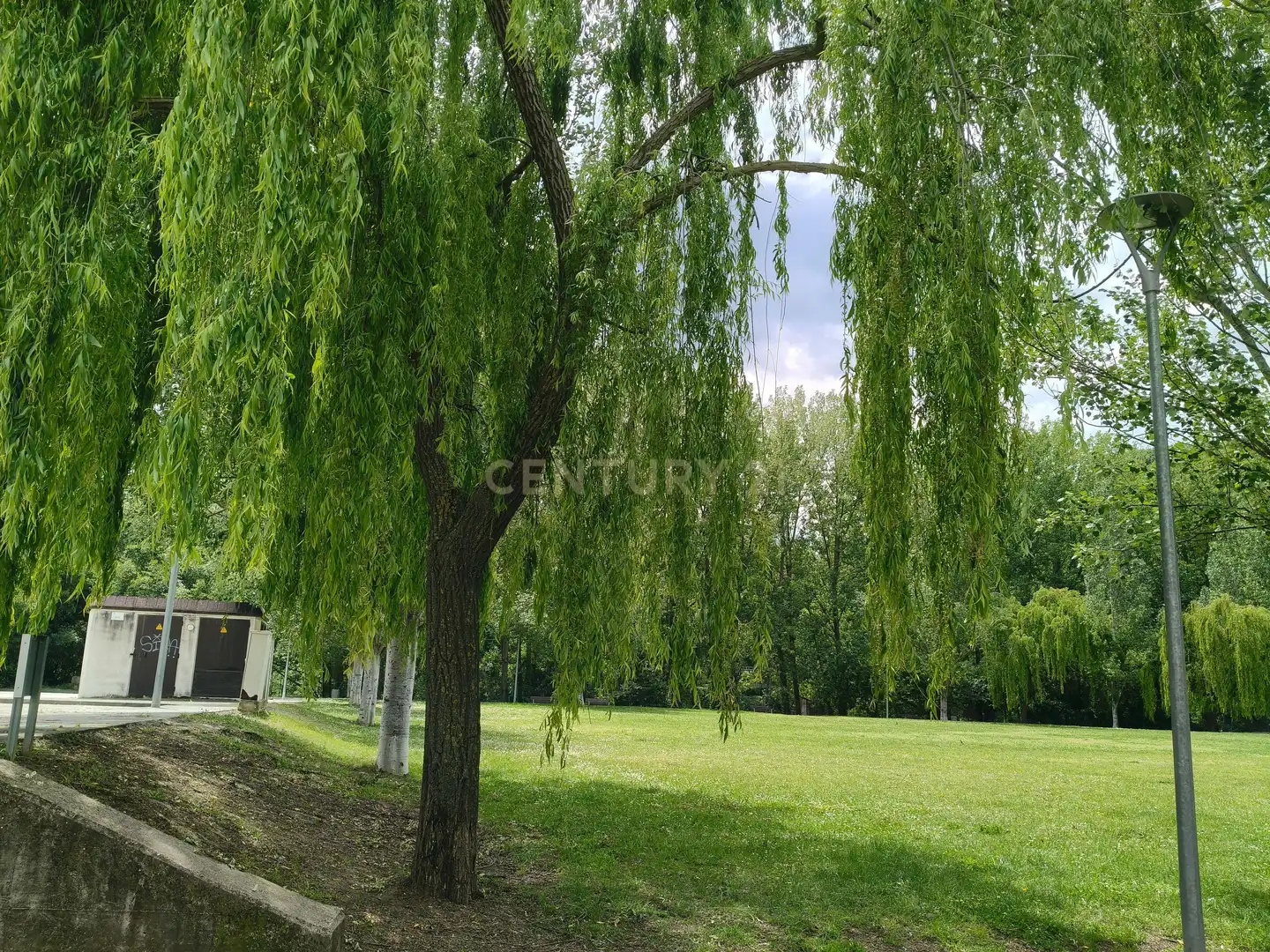 Vista exterior de Terreno en venta en Sant Quirze de Besora