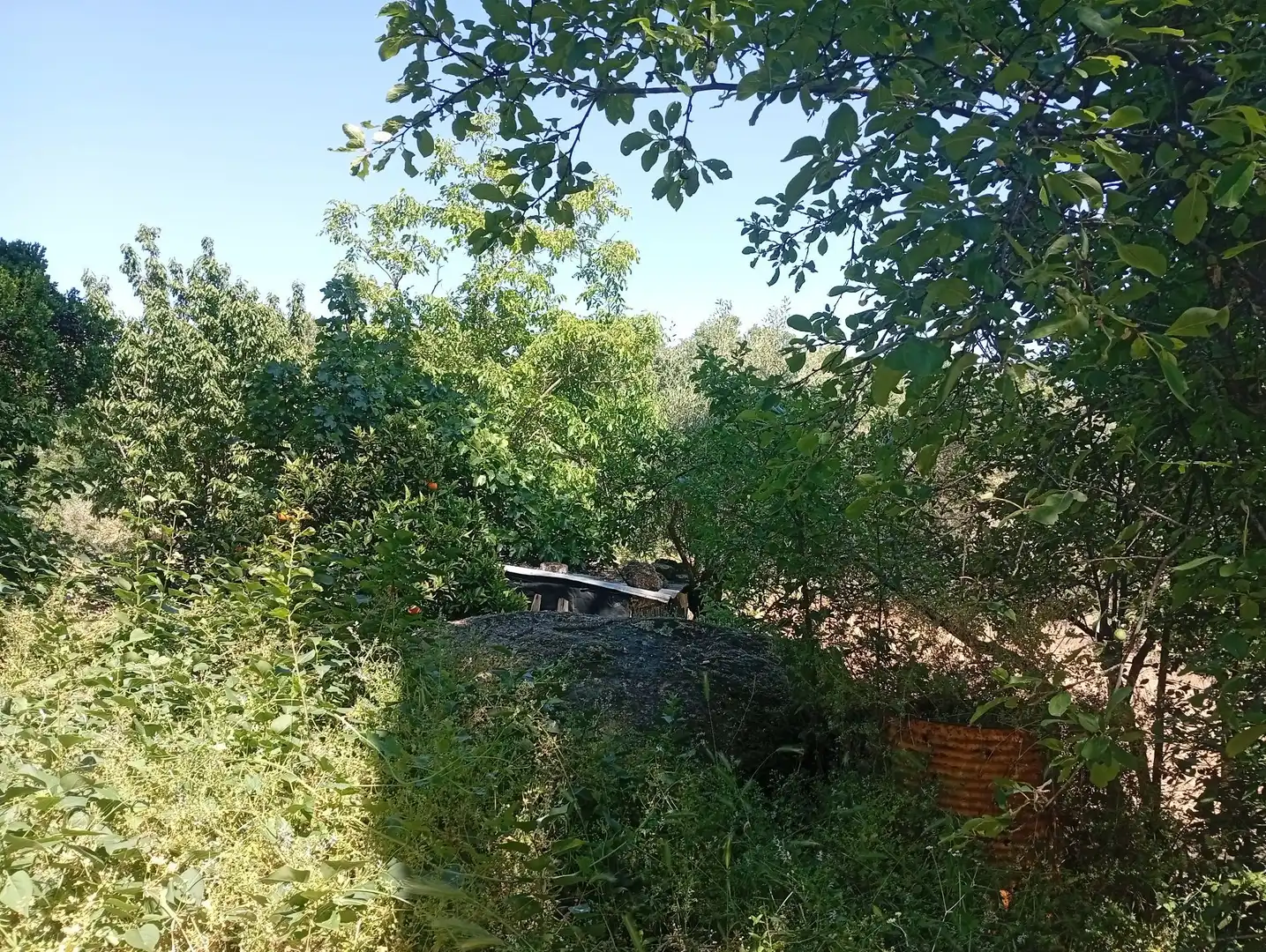 Terreni e lotti in vendita a Villanueva de la Vera, imagen 31