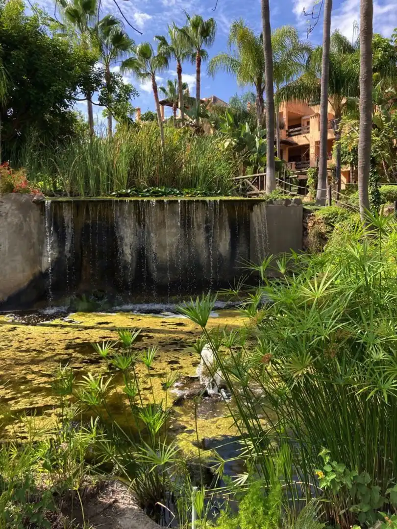 Habitatge amb piscina en venda a Benamara - Atalaya, imagen 16