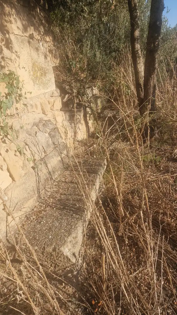 Rural land for sale in Arbeca, imagen 12