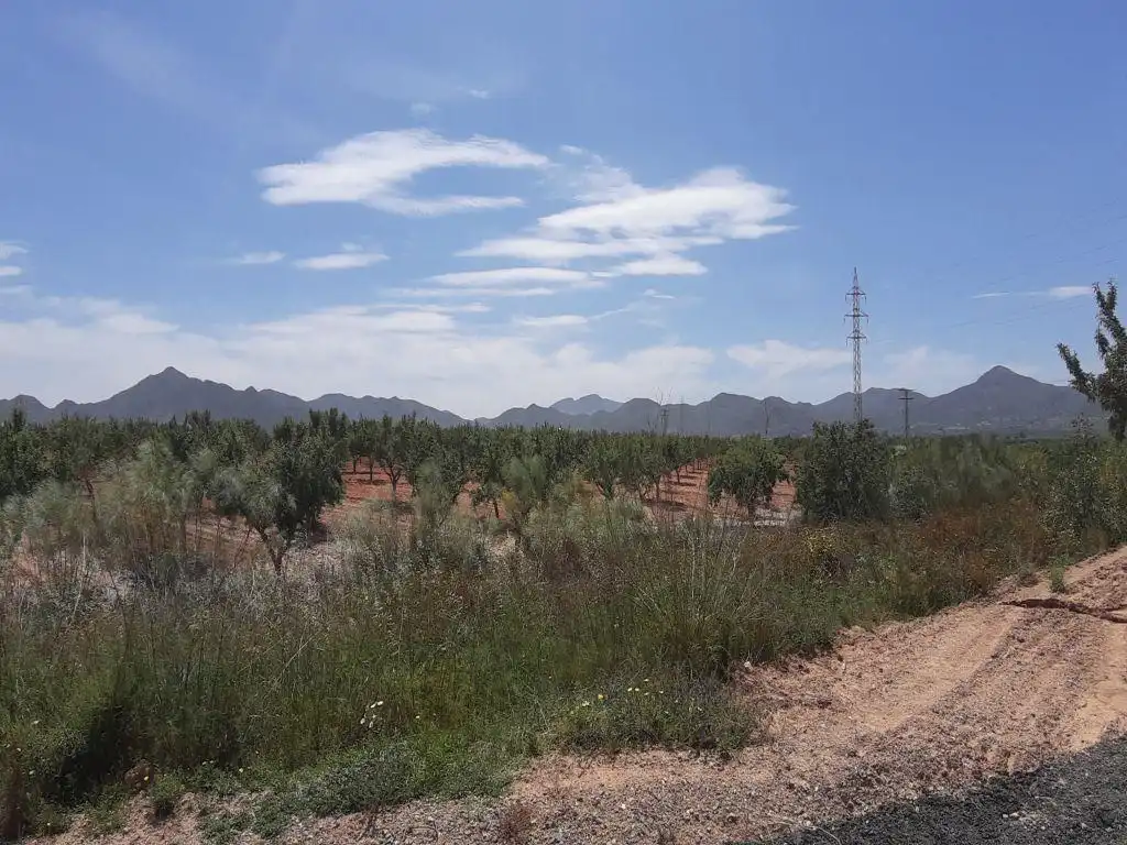 Residencial en venda en Fuente Álamo de Murcia