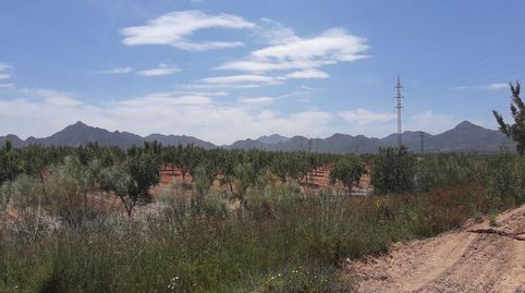 Foto 5 de Residencial en venda a Los Barrancos y Paganes, La Pinilla - Las Palas, Fuente Álamo de Murcia