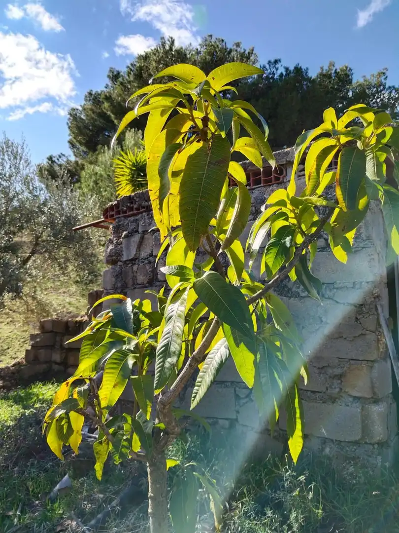 Casa rústica con piscina en venta en LOMA DEL POCITO, imagen 23